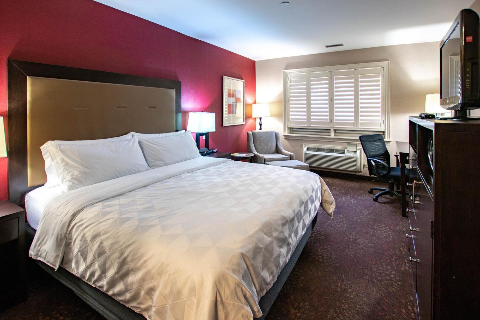 Holiday Inn Hotel & Suites St.Catharines-Niagara By Ihg Saint Catharines Экстерьер фото
